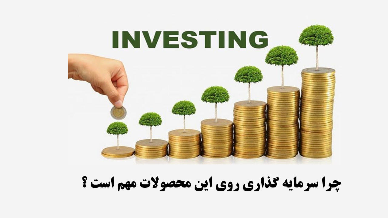 سرمایه گذاری برای محصولات